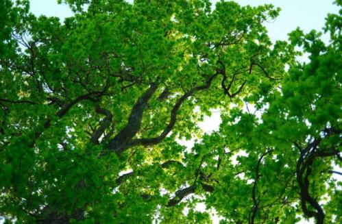 Prognoza meteo pentru marți, 28 mai 2024, la Constanța