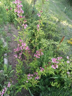 #ConstanțaEsteBine Valul 6 de energie - partea a doua - ziua 7. 29 mai 2024. Ne apropiem de finalul unei lunii intense, plină de vârtejuri de energie și provocatoare