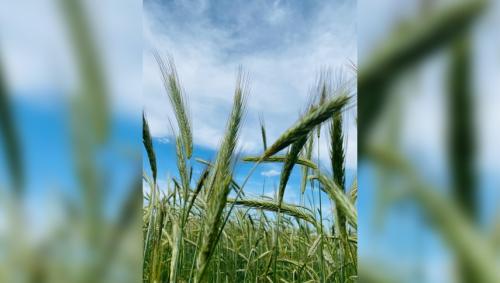 #ConstantaEsteBine Valul 6 de energie – partea a doua – ziua 9. Zi cu energie de pregătire a repausului