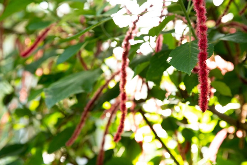 Sursa foto: Pexels