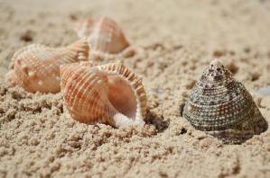 Vremea în Constanța, marți, 4 iunie 2024 