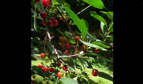 #ConstanțaEsteBine Valul 6 de energie – partea a doua – ziua 14 5 iunie 2024. Suntem exact cu o zi înainte de luna nouă