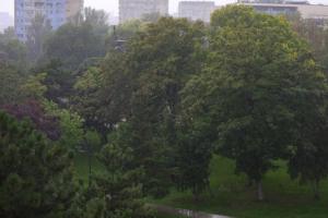 Constanța, sub cod galben de ploi și intensificări ale vântului!