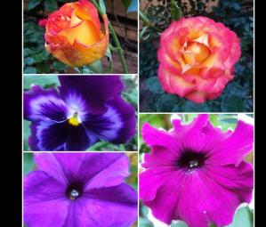 #ConstanțaEsteBine Valul 6 de energie – partea a doua – ziua 15. 6 iunie 2024. Primiți cu Luna nouă în Gemeni?