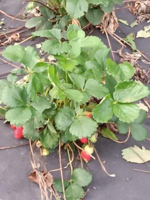 #ConstanțaEsteBine Valul 7 de energie - partea întâi - ziua 3. 9 iunie 2024. Astăzi este o zi cu energie dinamică, activă, luminoasă și uneori provocatoare