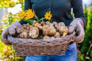 #ConstanțaEsteBine Valul 7 de energie – partea întâi – ziua 5. 11 iunie 2024. Energia lunii în creștere se intensifică 