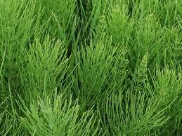 #ConstanțaEsteBine Valul 7 de energie - partea întâi - ziua 6. 12 iunie 2024. Luna în creștere de astăzi este în semnul Fecioarei