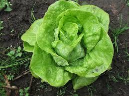 #ConstantaEsteBine Valul 7 de energie – partea întâi – ziua 7. 13 iunie 2024 O altă zi  interesantă, cu energie amestecată și provocatoare