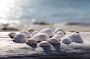 Meteo Constanța, 16 iunie 2024 Constănțenii și turiștii se pot bucura de o zi frumoasă la malul mării 