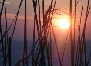 Cod Galben de caniculă. Vizată și Dobrogea. Atenție, disconfort termic ridicat!  
