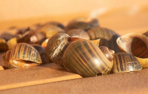 Vremea în Dobrogea. Temperaturile vor varia în următoarele două săptămâni 