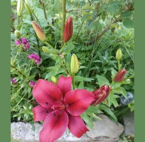 #ConstantaEsteBine 20 iunie 2024. Să folosim energia perioadei pentru a face ordine