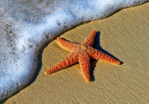 Vremea la Constanța, pentru 25 iunie 2024