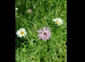 #ConstantaEsteBine Valul 7 de energie – partea a doua – ziua 4. 25 iunie. Corpurile au simțit nevoia de mai multă odihnă.