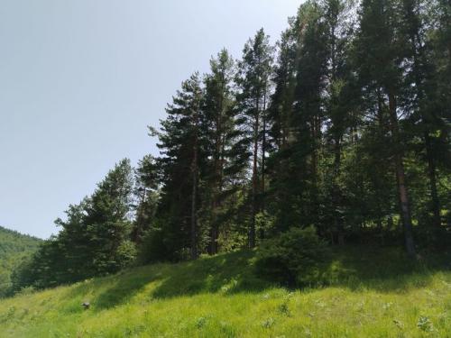 #ConstanțaEsteBine Valul 7 de energie – partea a doua – ziua 6. 27 iunie 2024 Energia în scădere a Lunii se intensifică