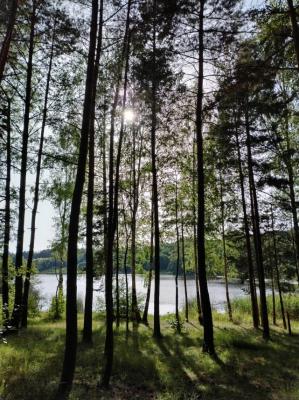 #ConstanțaEsteBine Valul 7 de energie - partea a doua - ziua 8. 29 iunie 2024. Suntem la mijlocul perioadei de lună în scădere, adică la al treilea pătrar, în plină perioadă de curățare și eliminare