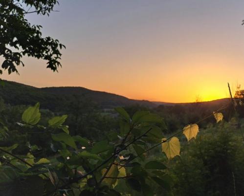 #ConstanțaEsteBine Valul 7 de energie – partea a doua – ziua 9 30 iunie 2024 Ultima zi din luna iunie, o lună intensă, călduroasă și dinamică