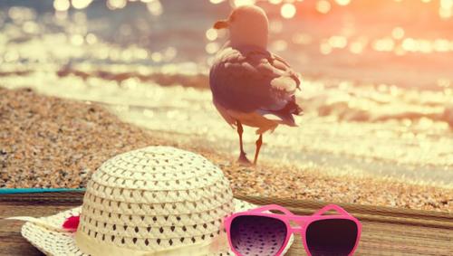 Județele Constanța și Tulcea, sub cod galben de caniculă! Se vor înregistra temperaturi cuprinse între 33 și 35 de grade