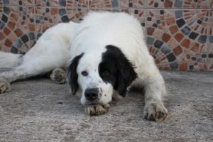 #ConstantaEsteBine  Valul 7 de energie – partea a doua – ziua 10,1 iulie 2024. Astăzi începem un nou ciclu numit „luna iulie”