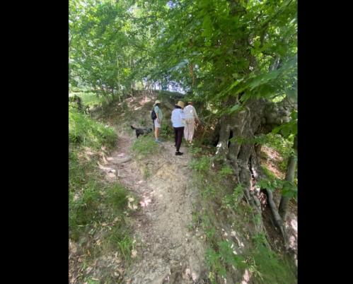 #ConstantaEsteBine Valul 7 de energie – partea a doua – ziua 11. 2 iulie 2024. Iulie, o lună liniștită dar cu transformări profunde