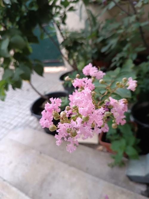 #ConstanțaEsteBine Valul 8 de energie - partea întâi - ziua 2. 7 iulie 2024. Energia lunii crește, împreună cu presiunea mucusului din corp