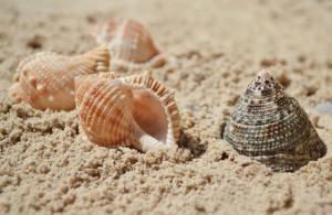 Prognoza meteo pentru Dobrogea, în următoarele două săptămâni. Cum va fi vremea? 