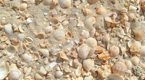 Meteo Constanța 05 august 2024. Cum va fi vremea marți, la malul mării?