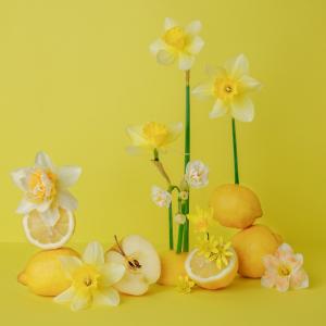 #ConstanțaEsteBine Valul 9 de energie - partea întâi - ziua 4. 8 august 2024. Portalul Leului