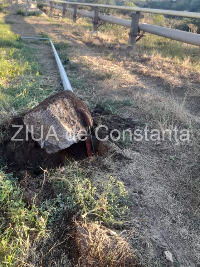 accident in constanta un sofer a intrat intr un stalp incercand sa evite un caine foto 866890