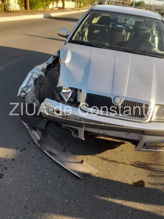 accident in constanta un sofer a intrat intr un stalp incercand sa evite un caine foto 866890