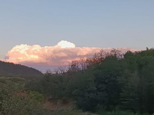 #ConstantaEsteBine Valul 9 de energie – partea întâi – ziua 9. 13 august 2024. O zi în plin tranzit de Mercur retrograd