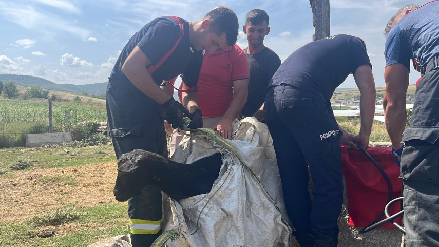 misiune atipica pentru pompierii din judetul tulcea o caprita s a prabusit intr o fantana din babadag misiune atipica pentru pompierii din judetul tulcea o caprita s a prabusit intr o fantana din babadag