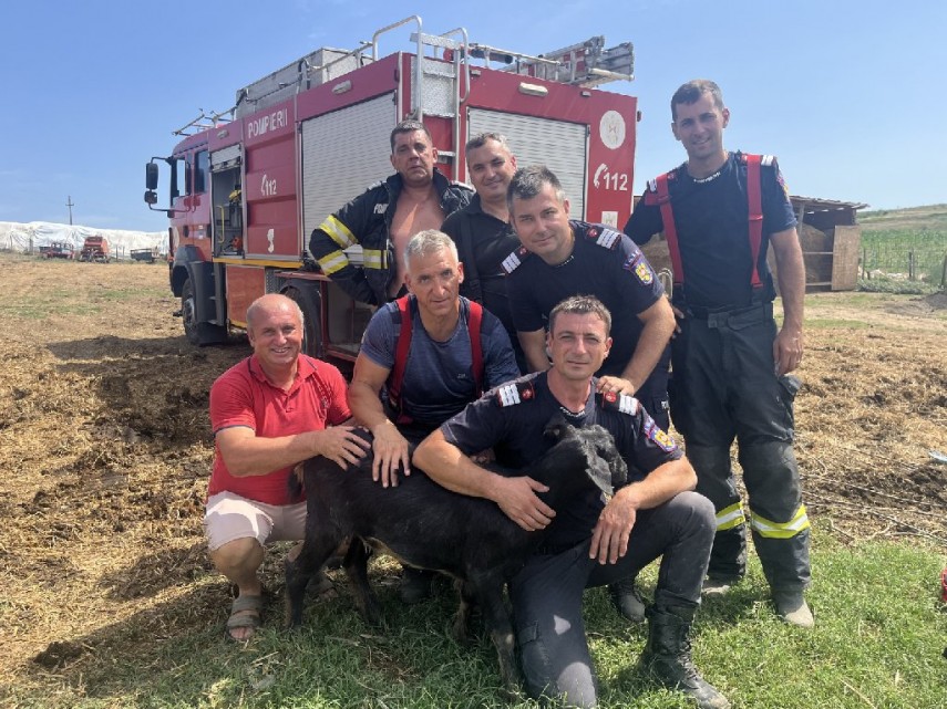misiune atipica pentru pompierii din judetul tulcea o caprita s a prabusit intr o fantana din babadag misiune atipica pentru pompierii din judetul tulcea o caprita s a prabusit intr o fantana din babadag