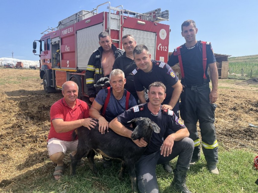 misiune atipica pentru pompierii din judetul tulcea o caprita s a prabusit intr o fantana din babadag misiune atipica pentru pompierii din judetul tulcea o caprita s a prabusit intr o fantana din babadag