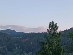 #ConstanțaEsteBineValul 9 de energie – partea a doua – ziua 6 25 august 2024 O zi de final de săptămână pentru contemplare și odihnă