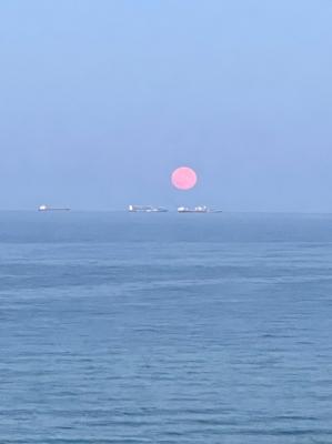 #ConstanțaEsteBine Valul 9 de energie - partea a doua - ziua 7. 26 august 2024. Începem ultima săptămână din luna august, finalul vacanței de vară