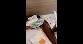 Musafiri nepoftiți în City Park Mall.  O constănțeancă a surprins un gândac în timp ce lua masa (VIDEO)  