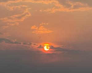 #ConstantaEsteBine   Valul 9 de energie – partea a doua – ziua 12. 31 august 2024. Astăzi este despre diferența între a reacționa și a răspunde