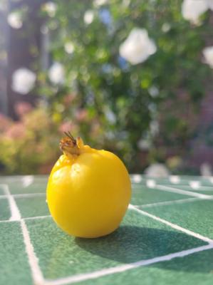 #ConstanțaEsteBine Valul 9 de energie - partea a doua - ziua 14. 2 septembrie 2024. Lună nouă în Fecioară, soarele tot în Fecioară, energie de început, de posibilități, de potențial