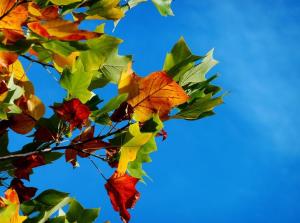 Vremea la Constanța în perioada următoare. Iată ce trebuie să știi 