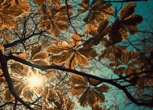 Prognoza meteo pentru Constanța. La ce să te aștepți în perioada următoare 