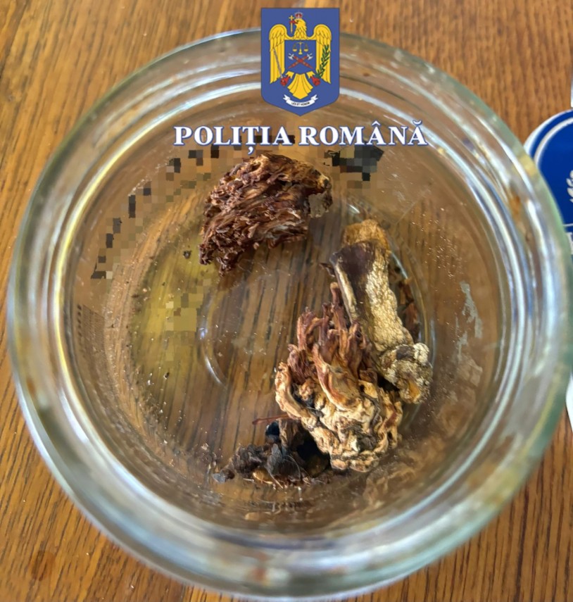 IPJ Constanta: Barbat prins in Costinesti cu ciuperci halucinogene in rucsac