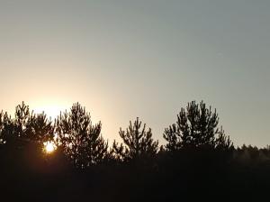 #ConstanțaEsteBine Valul 10 de energie - partea întâi - ziua 3. 5 septembrie 2024. Zilele se scurtează și se răcoresc, treptat