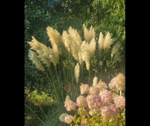 #ConstanțaEsteBine Valul 10 de energie - partea întâi - ziua 4. 6 septembrie 2024. Suntem în mijlocul semnului Fecioarei