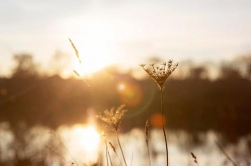Prognoza meteo pentru Constanța. La ce să te aștepți în zilele ce urmează 