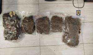 Percheziții în județul Constanța la persoane suspectate de trafic de droguri de mare risc (GALERIE FOTO)