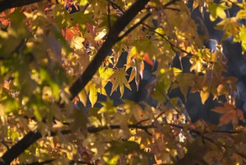 Vremea la Constanța în intervalul intervalul 9-22 septembrie 2024. Meteorologii au făcut anunțul 