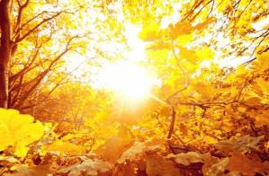 Vremea duminică, 22 septembrie 2024, la Constanța. Detalii meteo 