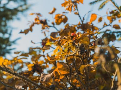 Meteo Constanța 21 septembrie 2024 Cum se anunță ziua de sâmbătă la malul mării 