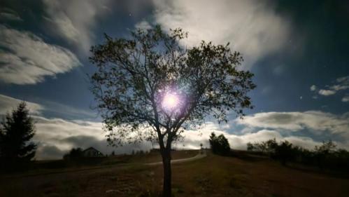 #ConstanțaEsteBine Valul 10 de energie – partea a 2-a – ziua 5 22 septembrie 2024 Ziua Echinocțiului de toamnă